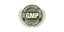 WHO GMP